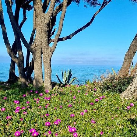 Maison U Nidu A 500M De La Mer Червйоне Екстер'єр фото